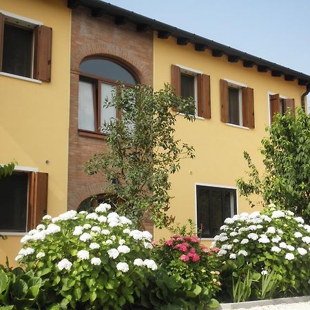 B&B Ai Ciliegi Mogliano Veneto Dış mekan fotoğraf