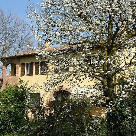 B&B Ai Ciliegi Mogliano Veneto Dış mekan fotoğraf