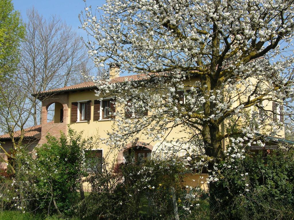B&B Ai Ciliegi Mogliano Veneto Dış mekan fotoğraf